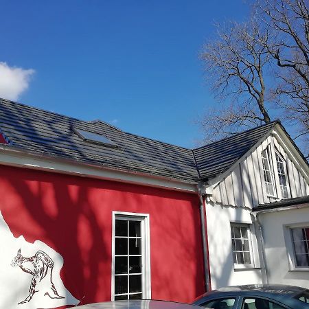 Kleines Studio Im Eichenwaeldchen, 1 Zimmer Kueche Bad Friedrichsgrun Εξωτερικό φωτογραφία