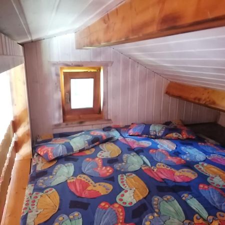 Kleines Studio Im Eichenwaeldchen, 1 Zimmer Kueche Bad Friedrichsgrun Εξωτερικό φωτογραφία