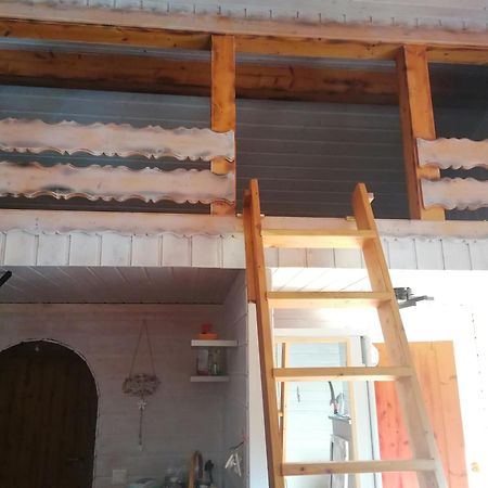 Kleines Studio Im Eichenwaeldchen, 1 Zimmer Kueche Bad Friedrichsgrun Εξωτερικό φωτογραφία