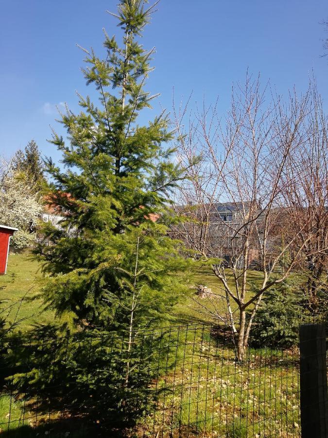 Kleines Studio Im Eichenwaeldchen, 1 Zimmer Kueche Bad Friedrichsgrun Εξωτερικό φωτογραφία