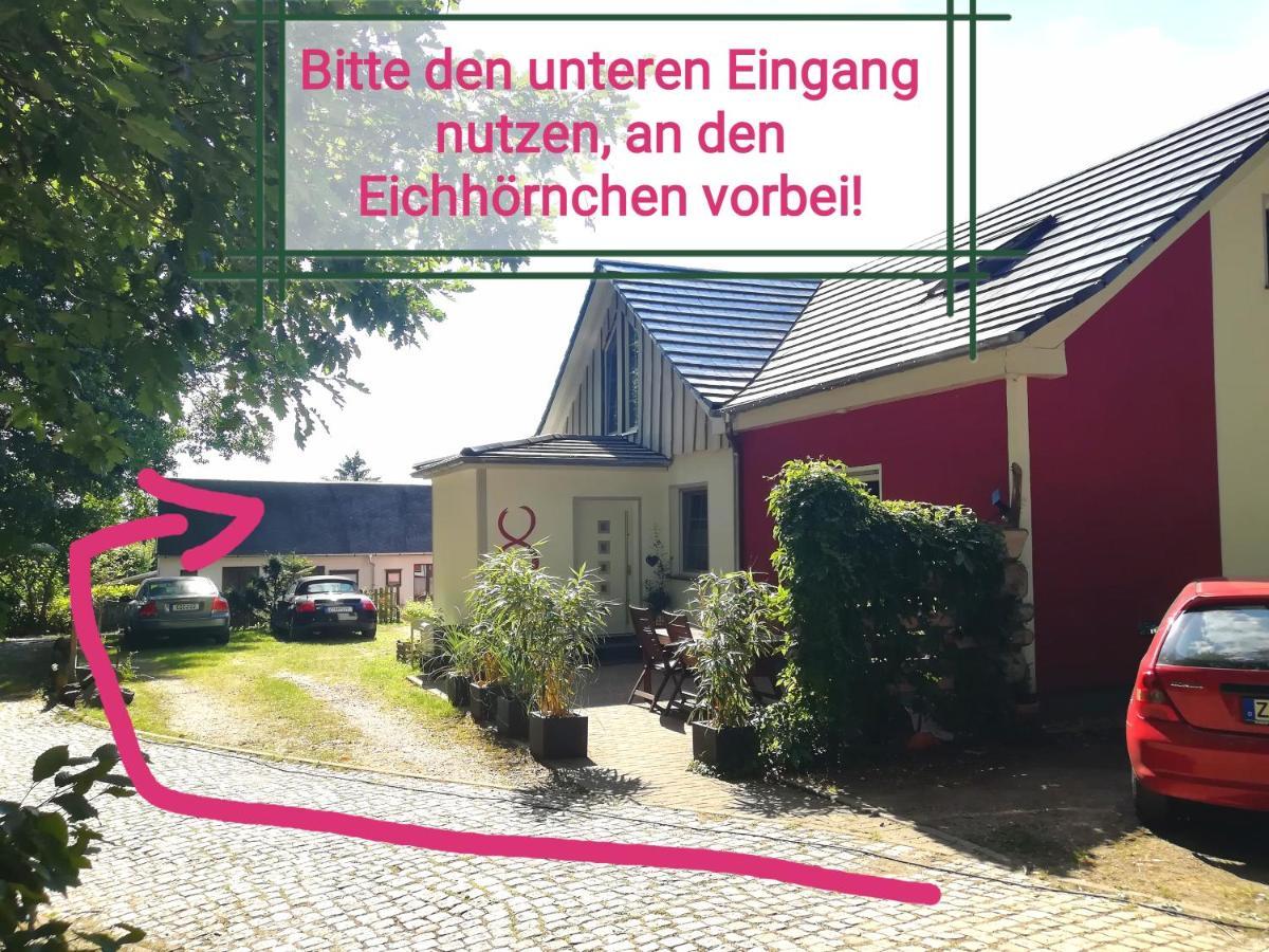 Kleines Studio Im Eichenwaeldchen, 1 Zimmer Kueche Bad Friedrichsgrun Εξωτερικό φωτογραφία