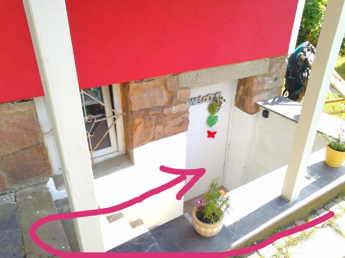 Kleines Studio Im Eichenwaeldchen, 1 Zimmer Kueche Bad Friedrichsgrun Εξωτερικό φωτογραφία