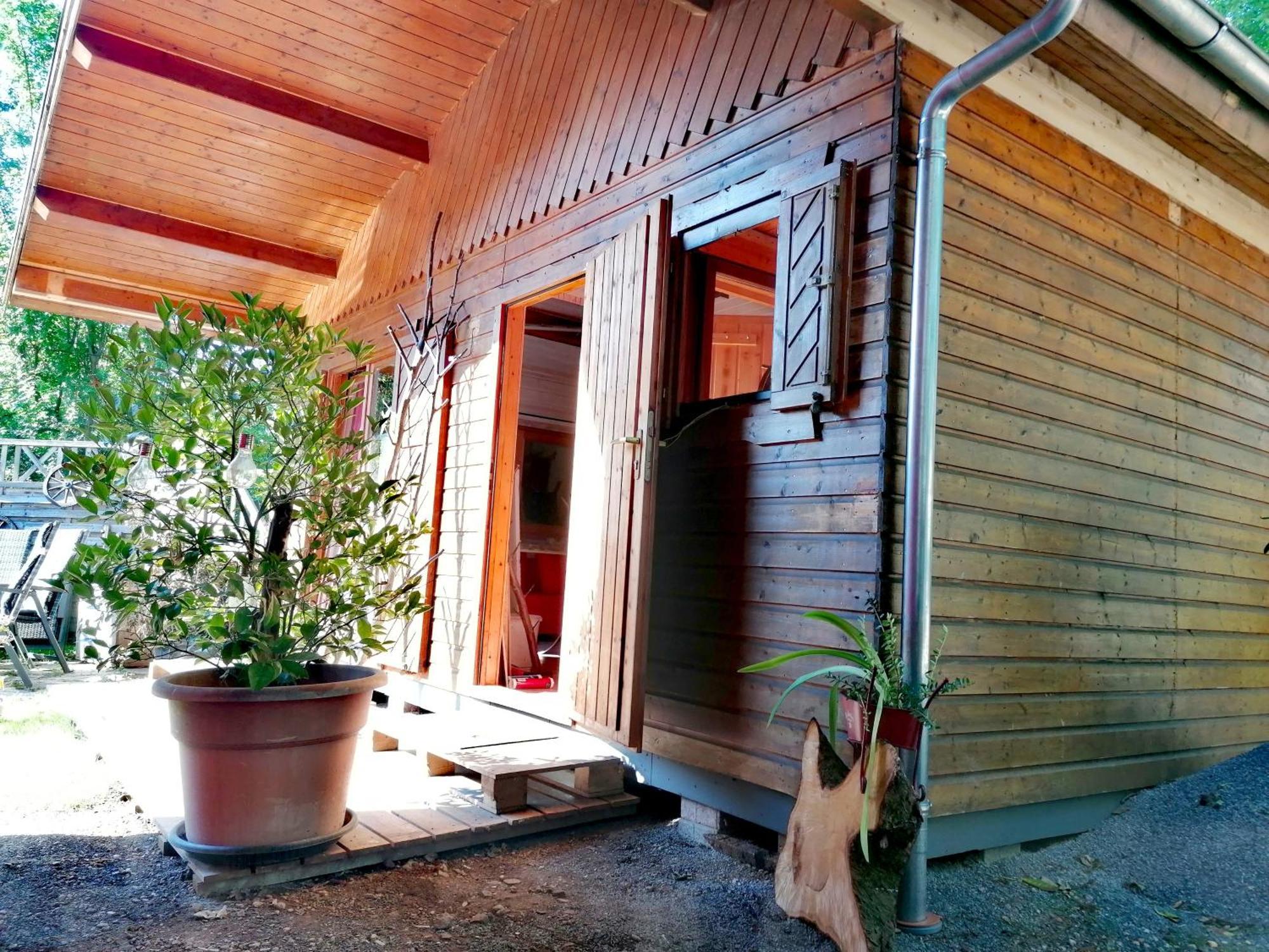 Kleines Studio Im Eichenwaeldchen, 1 Zimmer Kueche Bad Friedrichsgrun Εξωτερικό φωτογραφία